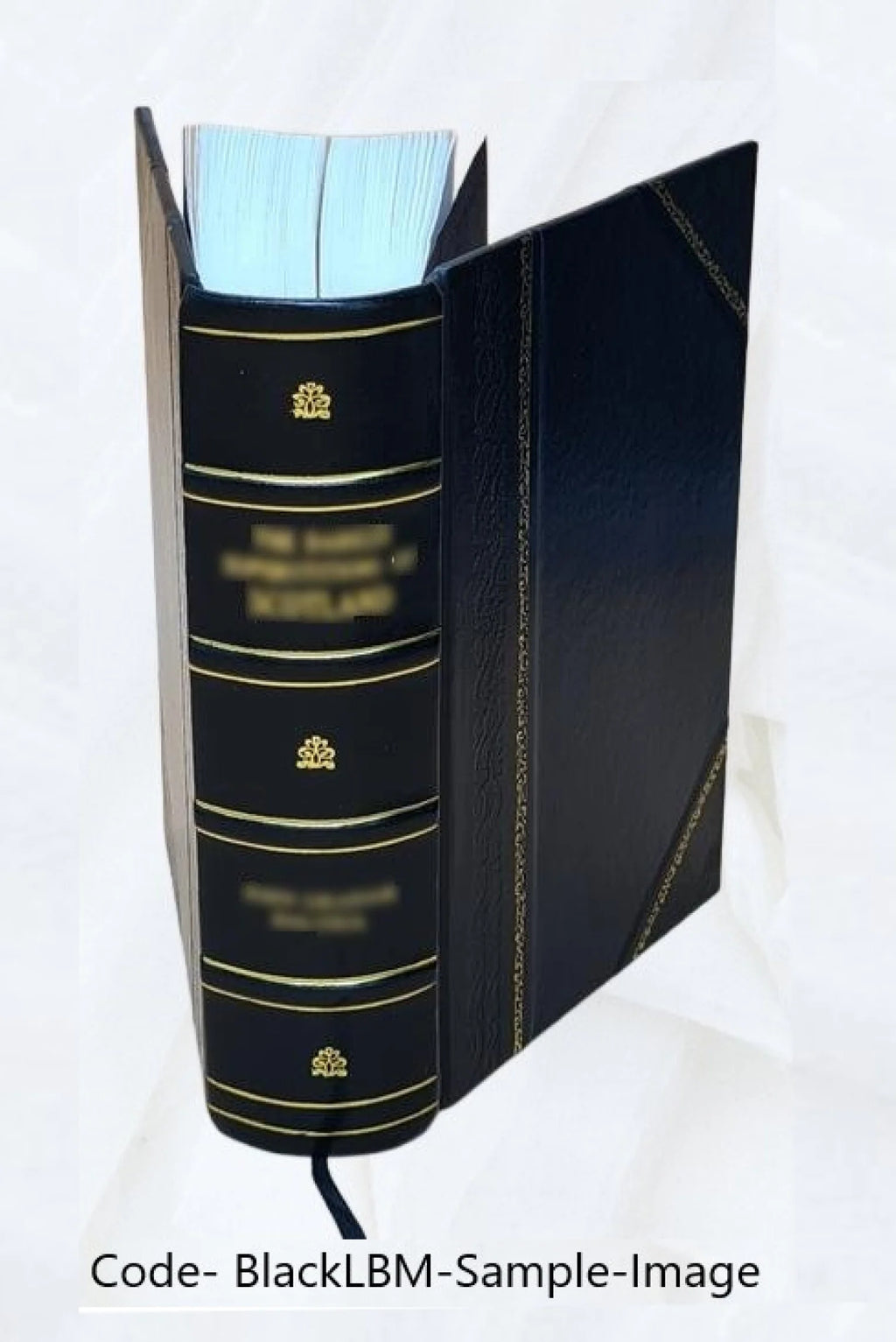 A view of the causes and consequences of the American revolution, in thirteen discourses V520831