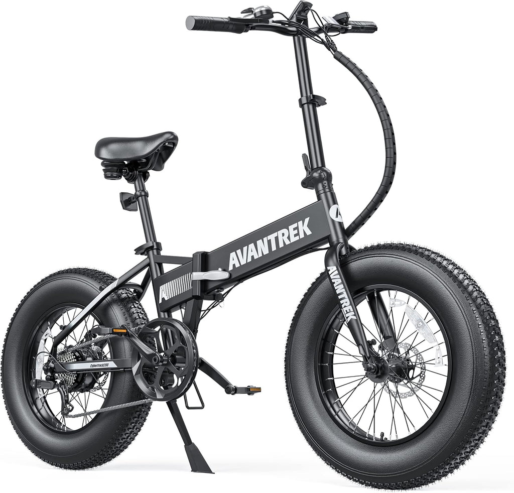 20'' Folding Fat Tire Electric Bike D99632