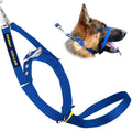 Padded Dog Training Head Collar P17423