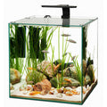 Frameless Cube Aquarium Y6407