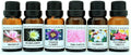 6 Bottle Set Scented Fragrance Oil 1/2 FL Oz Each G7059