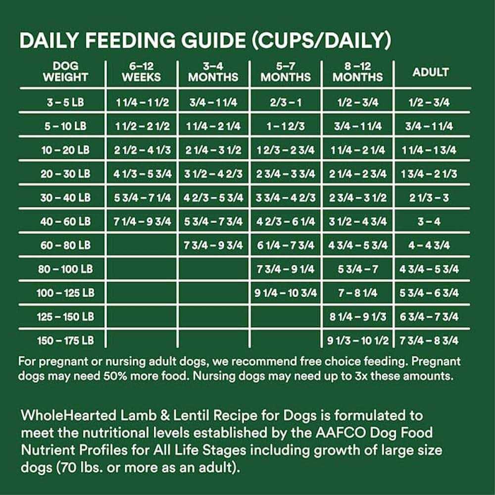 Grain Free Lamb and Lentil Dry Dog Food Z981