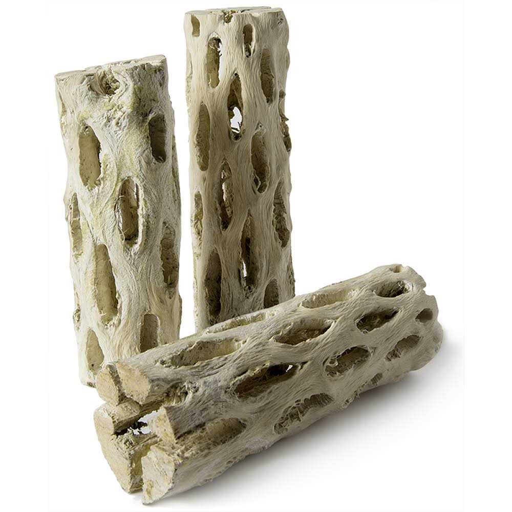 Cholla Wood C38717