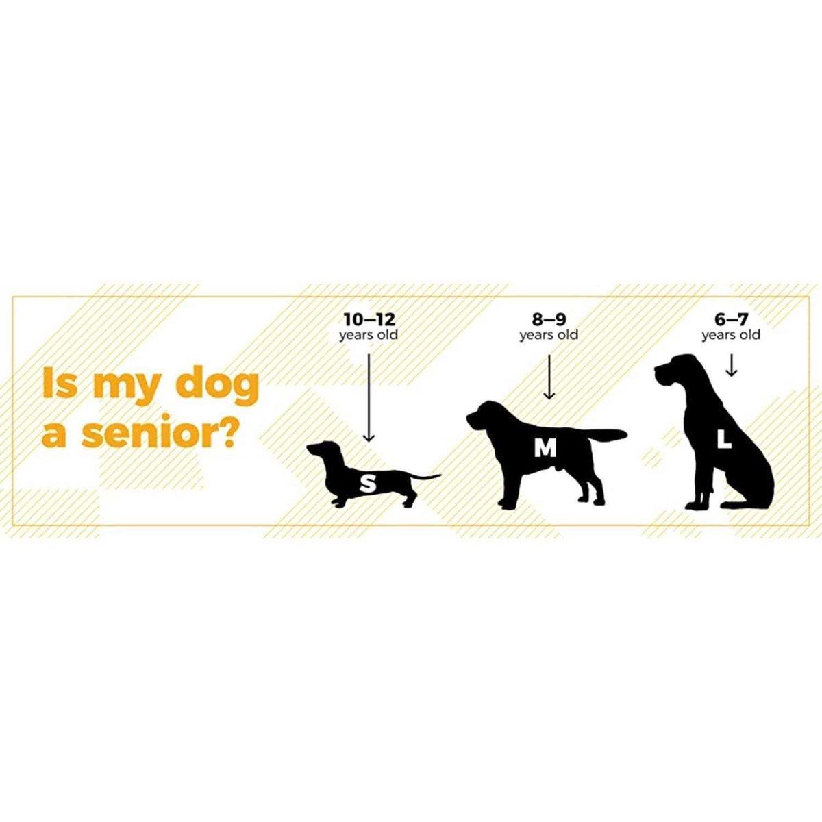 5.29 oz Supplement for Dogs K74767