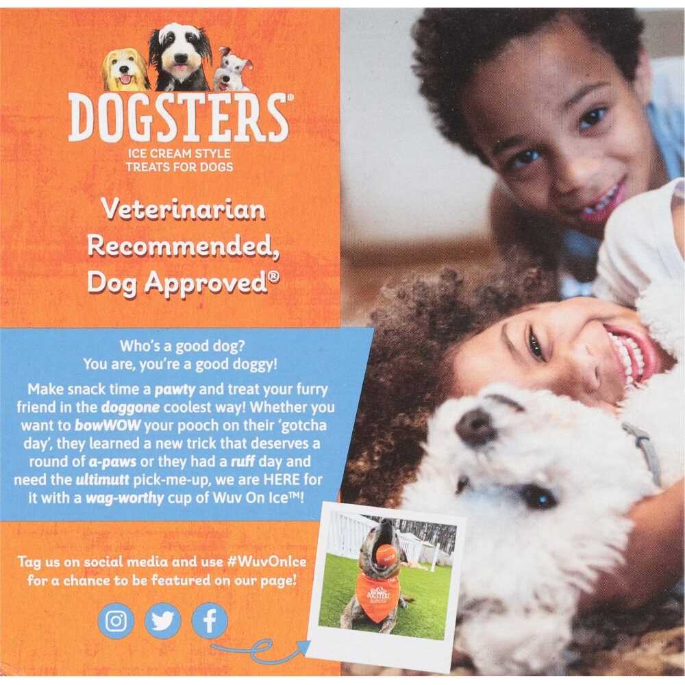 Ice Cream Style Dog Treats R987159