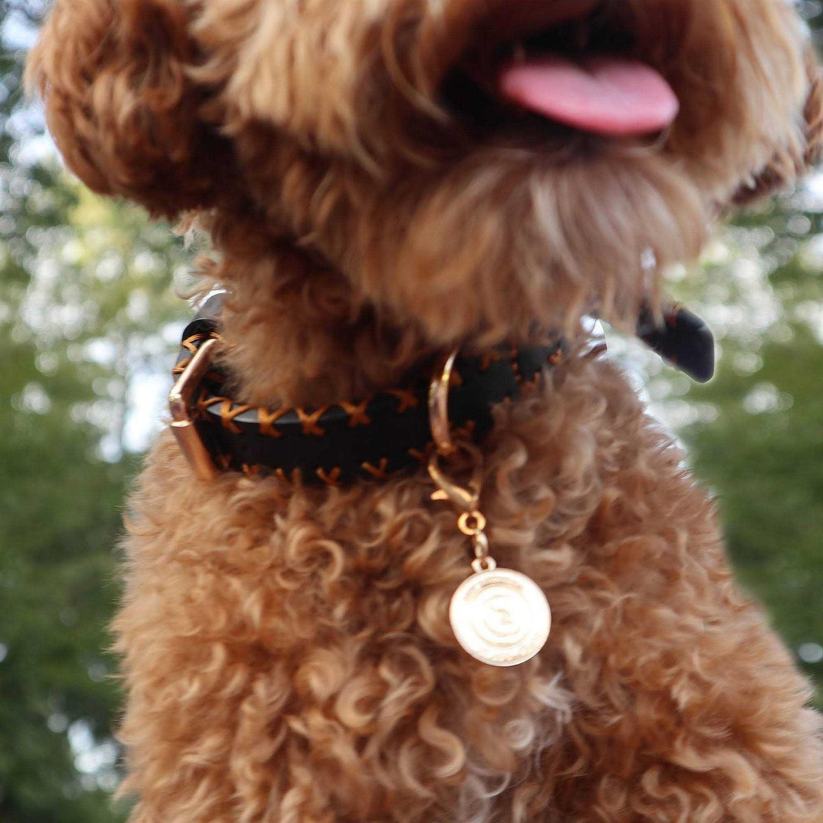 Handcrafted Standard Dog Collar X6563