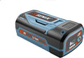 14 Inch 58V Cordless Chainsaw with Oregon Bar and Chain, Bare Tool T48435