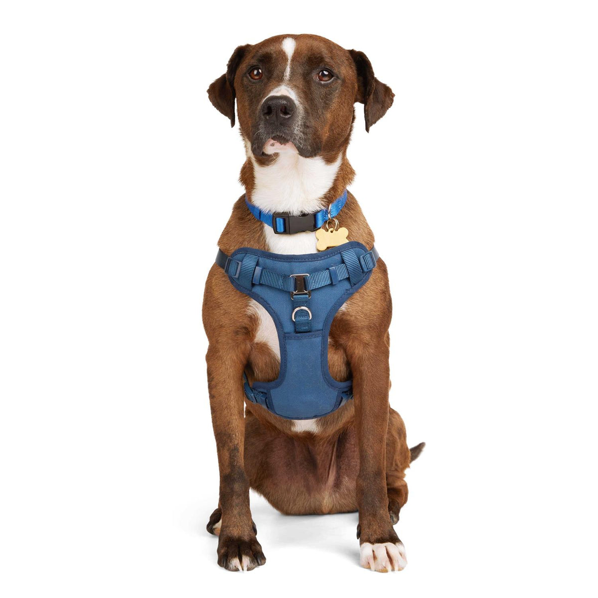 Padded Step-in Dog Harness R72948