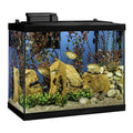20 Gallon Aquarium Fish Tank Kit H4014