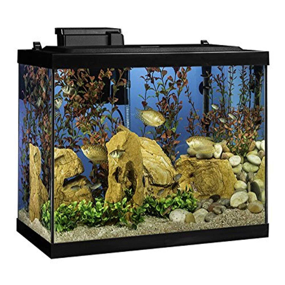 20 Gallon Aquarium Fish Tank Kit H4014