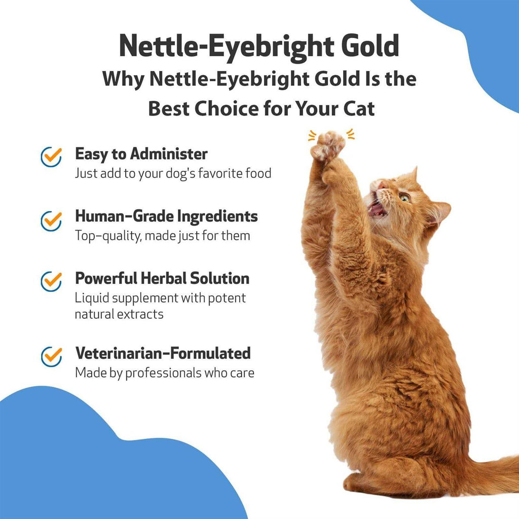 Nettle Eyebright for Dogs X110681