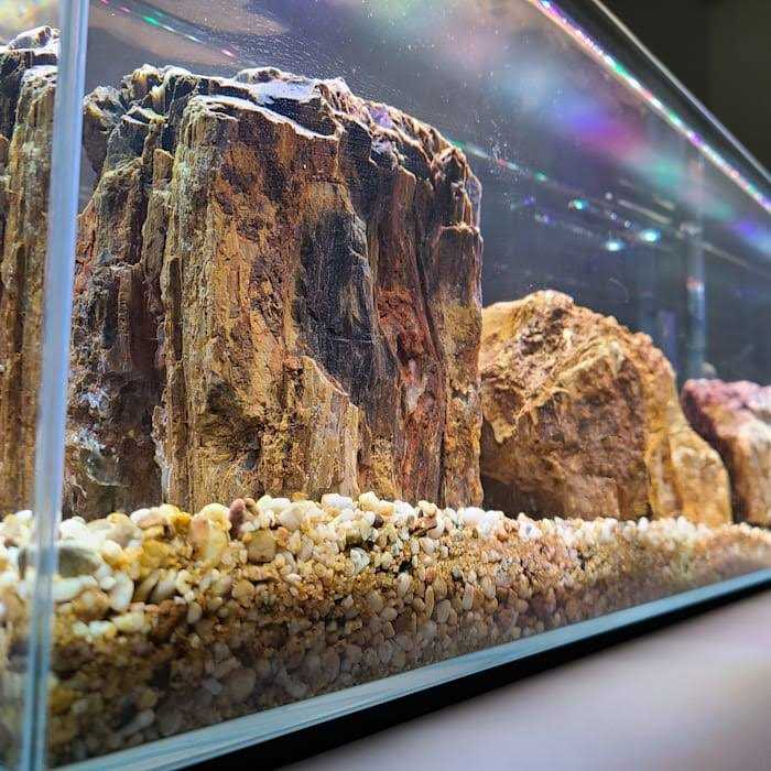 Crystal Bookshelf Aquarium E64186