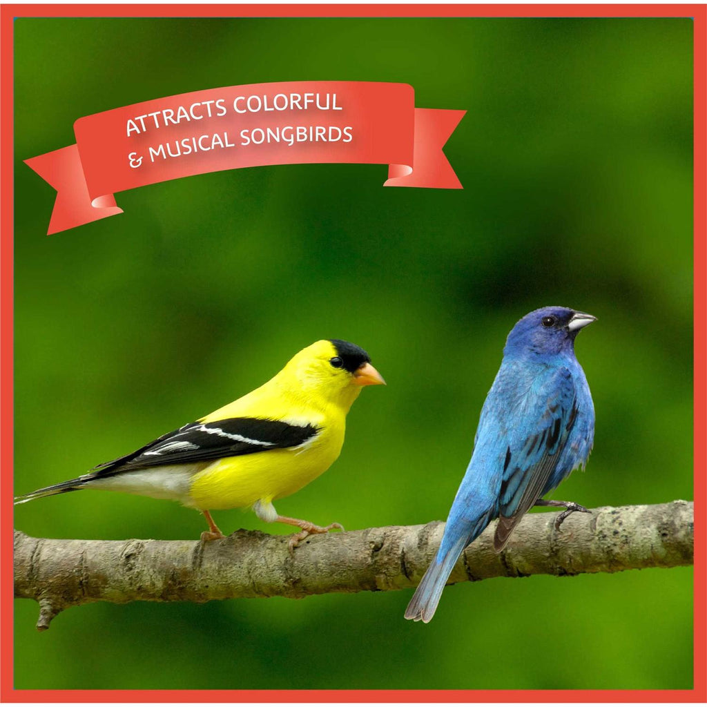 Songbird Blend Bird Seed S684039