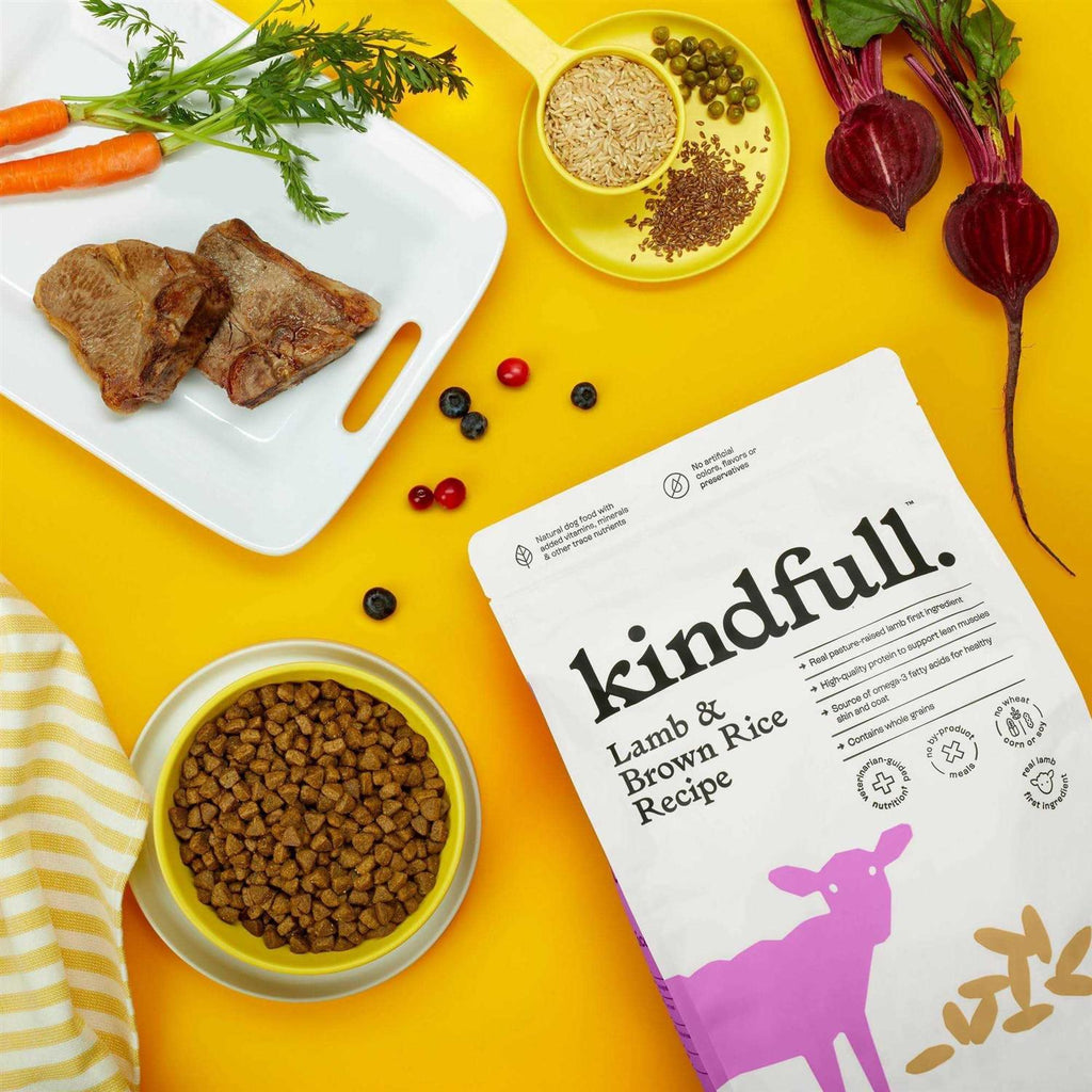Lamb & Brown Rice Recipe Dry Dog Food F2570
