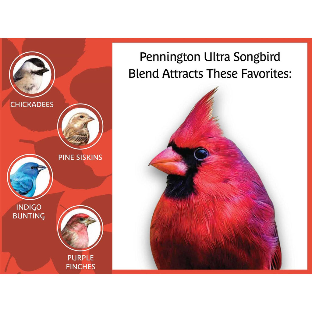 Songbird Blend Bird Seed S684039