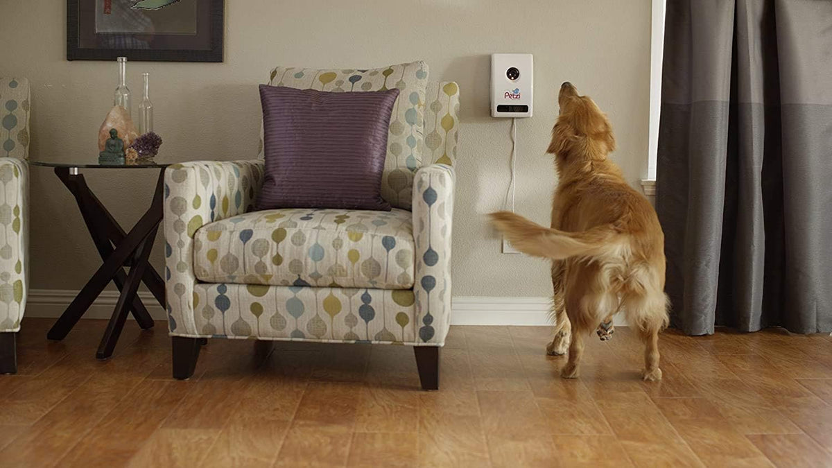 Wi-Fi Pet Camera & Treat Dispenser M8531