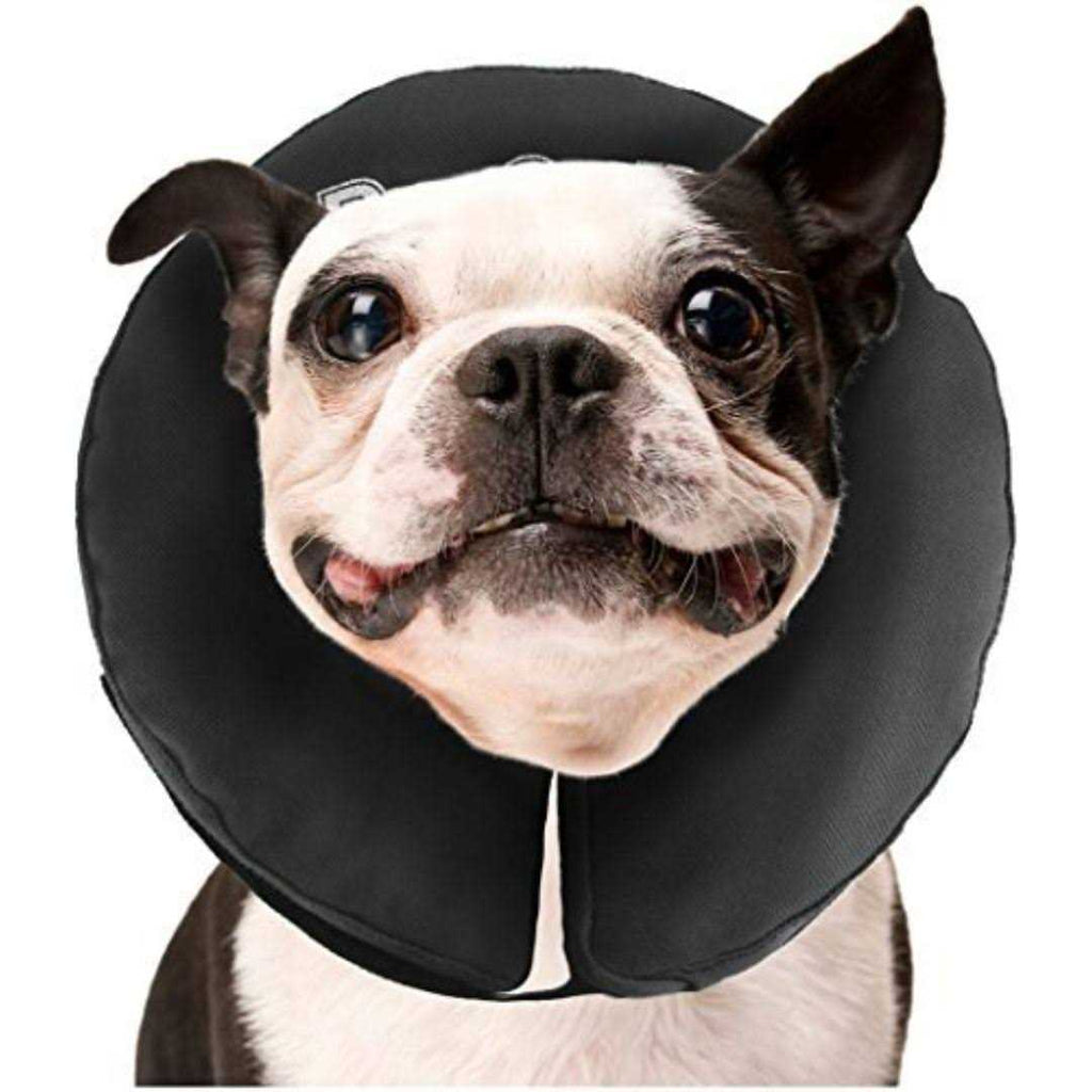 Inflatable Recovery Collar B998