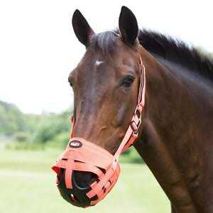 Poly Grazing Muzzle Z230626