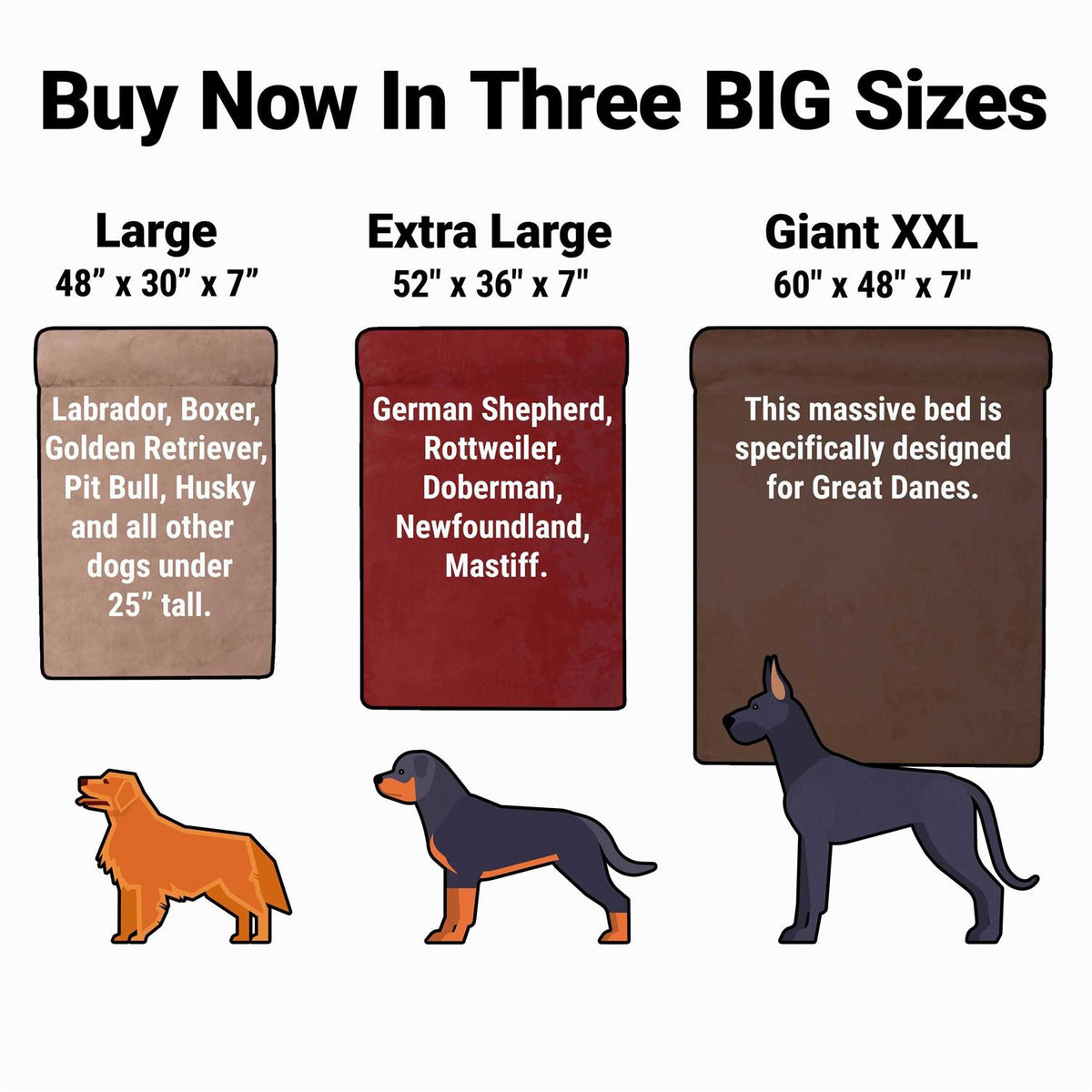 Orthopedic Dog Bed F251