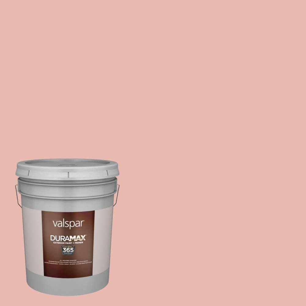 Satin Exterior Paint (5-Gallon) C304