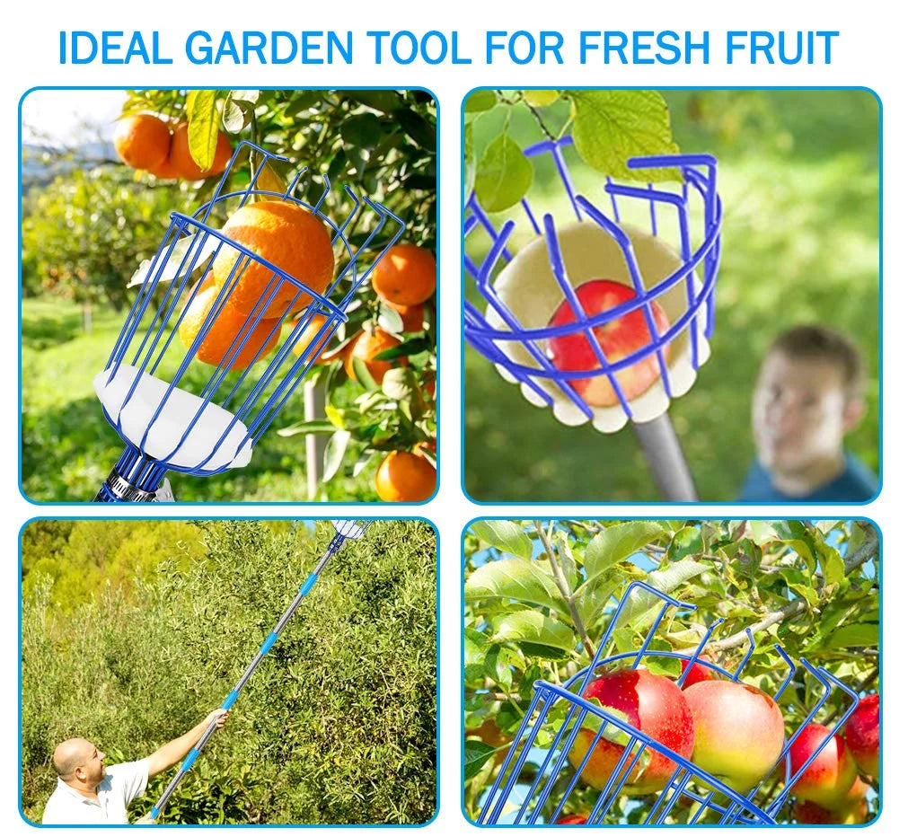 13-Foot Fruit Picker with Telescoping Pole and Basket P59343