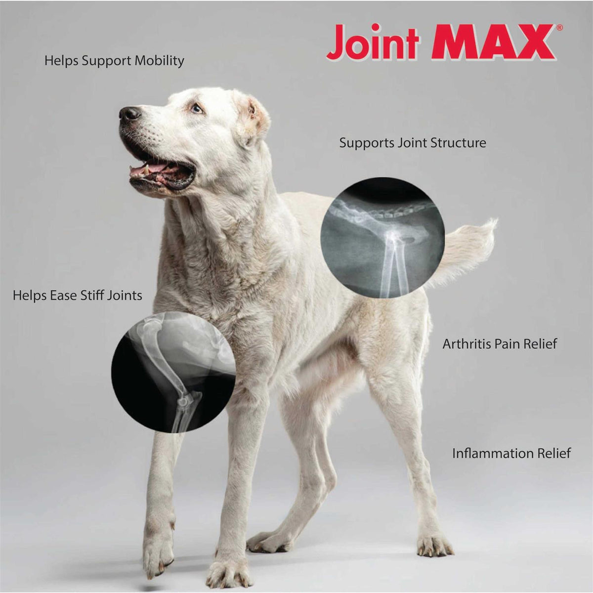 Joint MAX Triple Strength Soft Chews Z6937