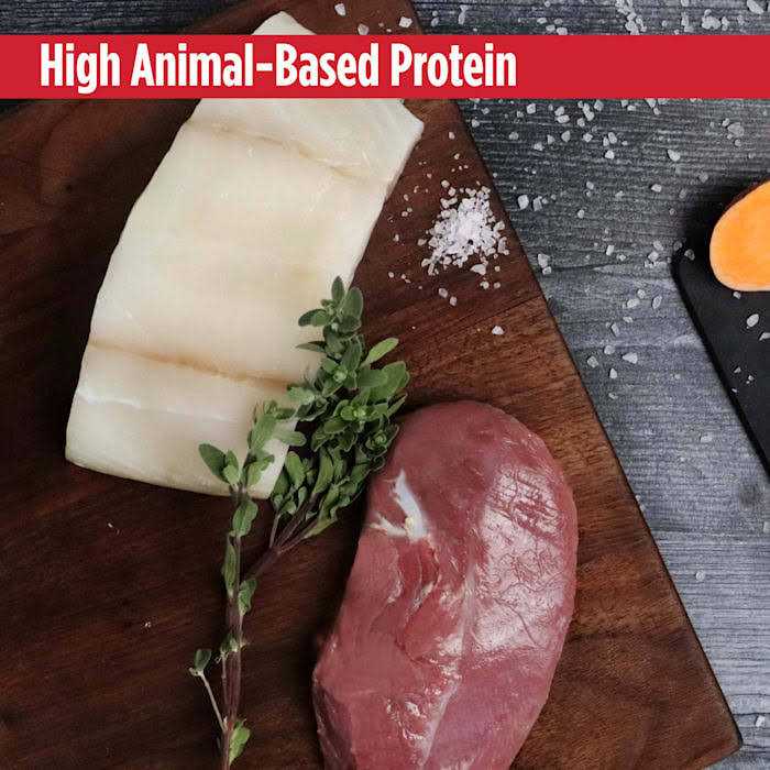 Grain Free Turkey Dry Cat Food R30439