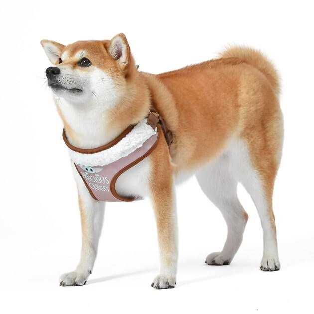 Dog Harness Y495855