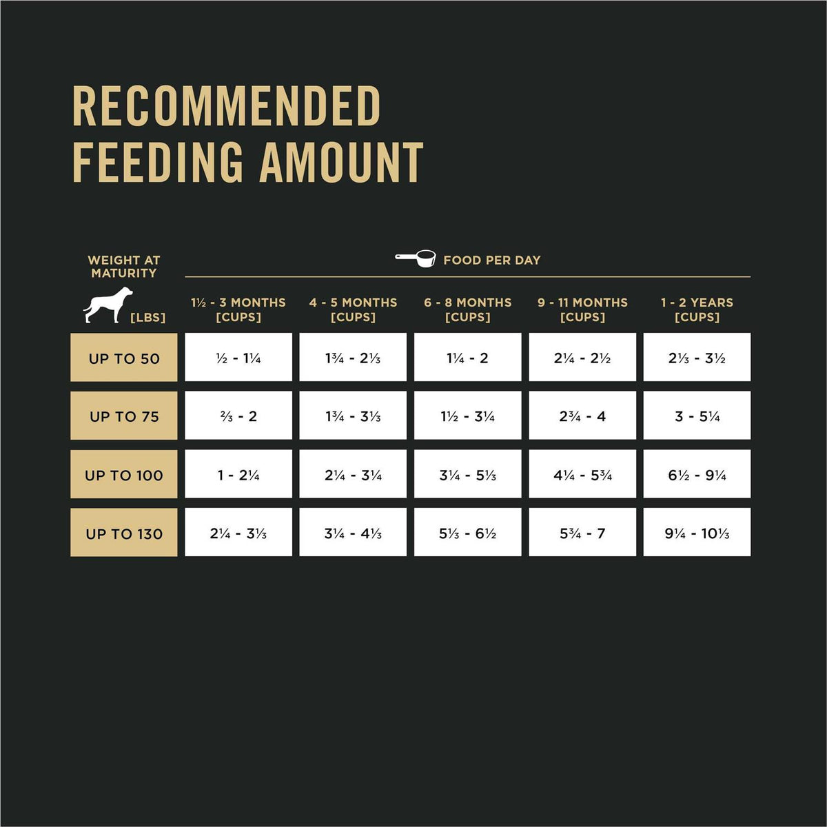 Chicken & Rice Formula Large Breed Dry Puppy Food B79922